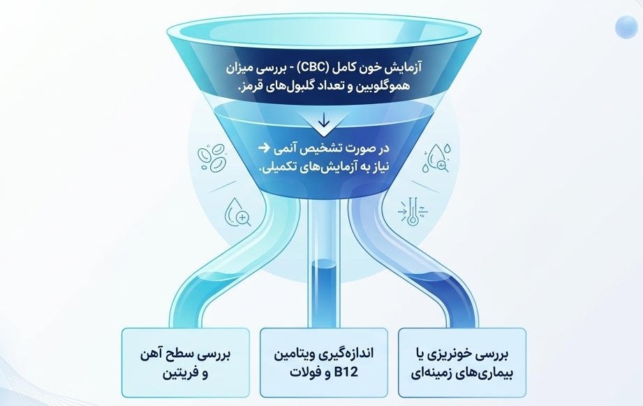 آنمی و کم خونی چگونه تشخیص داده می‌شود؟