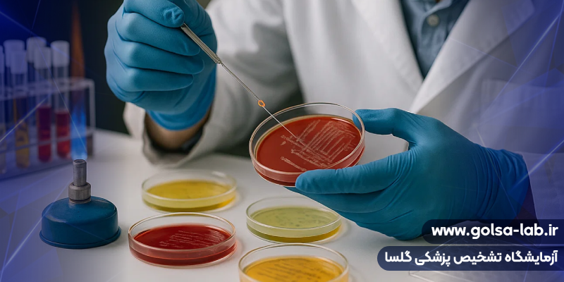 تستهای میکروب شناسی