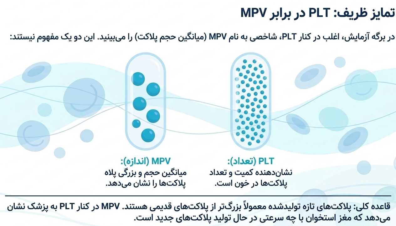 تفاوت PLT و MPV در آزمایش خون