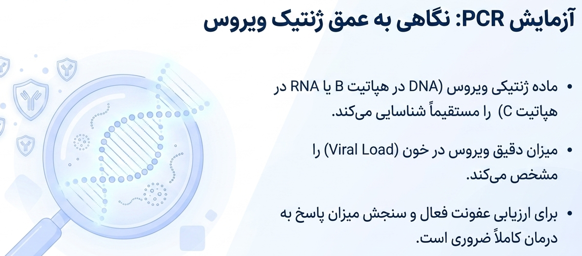 آزمایش PCR