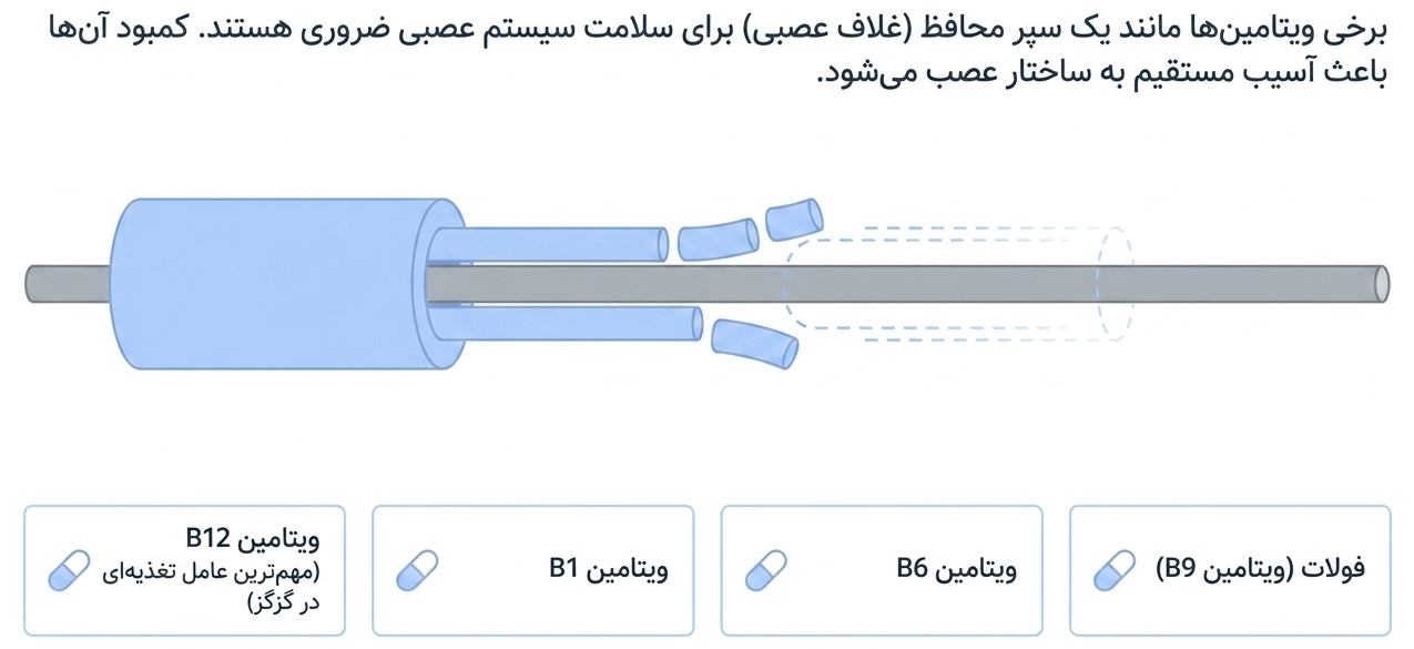 تغذیه و گزگز دست و پا
