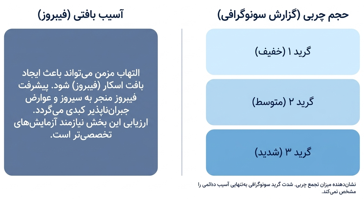 درجات کبد چرب