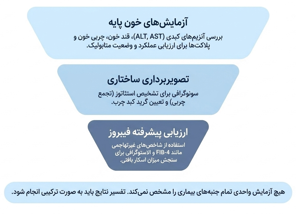 آزمایش کبد چرب
