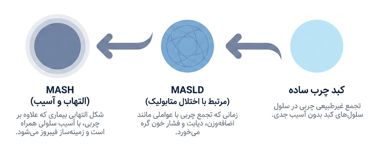انواع کبد چرب