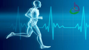 اثرات فعالیت فیزیکی در سلامتی انسان