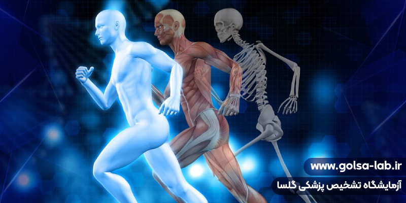 اهمیت فیزیولوژی در پزشکی