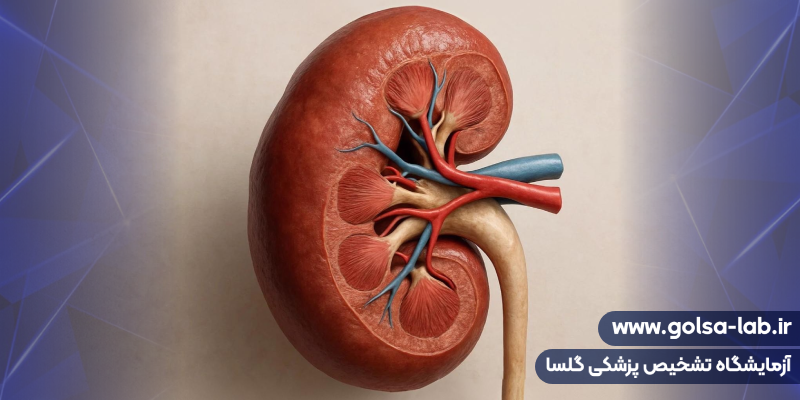 علل نارسایی کلیه