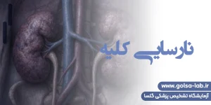 نارسایی کلیه