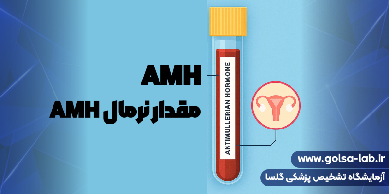 مقدار نرمال AMH