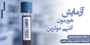 آزمایش هورمون آنتی مولرین (AMH)